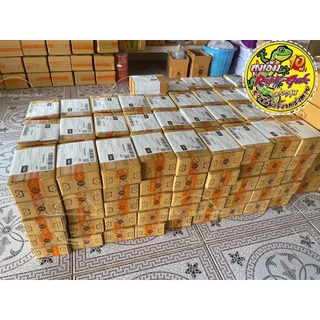 หัวเชื้อกำจัดจิ้งจกเร่งตาย 10 เท่า แบบครีม ใช้กำจัดจิ้งจก ตุ๊กแก ฆ่าจิ้งจก ไล่จิ้งจกและเเมลงต่างๆ #ลุงเอ็ม