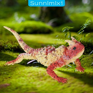 [Sunnimix1] ฟิกเกอร์แอกชัน สมจริง ของเล่นเสริมการเรียนรู้เด็ก