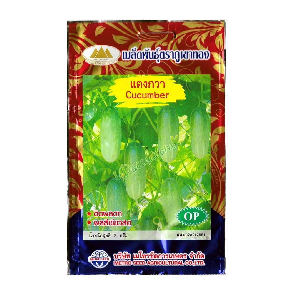 เมล็ดแตงกวา Cucumber MT/OP-017 ตราภูเขาทอง เมล็ดพันธุ์แตงกวา เมล็ดผักสวนครัว เมล็ดพันธุ์ ตราภูเขาทอง
