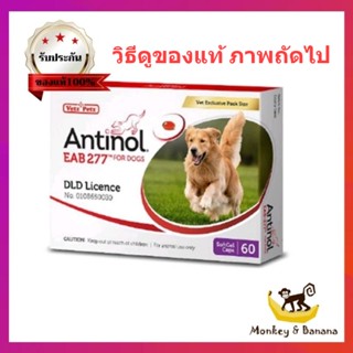 Antinol สุนัข อาหารเสริมบำรุงข้อ ลดอักเสบ ยกกล่องและแบ่งขาย EXP 9/2024