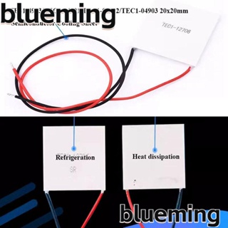 Blueming2 แผ่นทําความเย็น เทอร์โมอิเล็กทริกส์ กึ่งตัวนําความร้อน 4 แบบ TEC1-04902 TEC1-04903 20x20 มม. TES1-4903 TEC1-04901