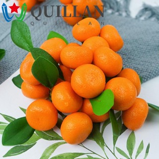 Quillan ผลไม้ประดิษฐ์ 3-6 กิ่ง สีสดใส สําหรับตกแต่งบ้าน ปาร์ตี้