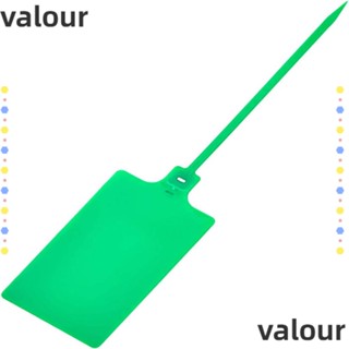 Valour ป้ายชื่อ ID พลาสติก สีเขียว ใช้ซ้ําได้ พร้อมสายคล้อง สําหรับกระเป๋าเดินทาง สํานักงาน 100 ชิ้น