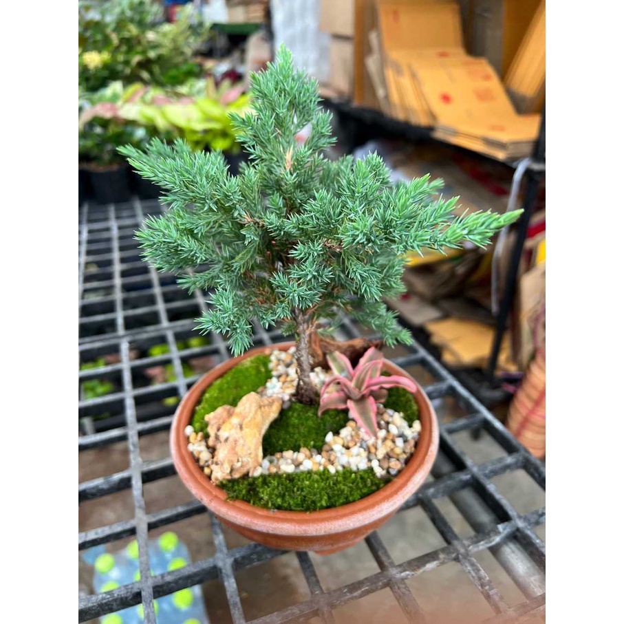 มุมมอง 4