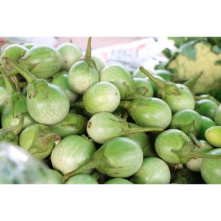 เมล็ดพันธุ์ มะเขือเปราะ เจ้าพระยา 1100 เมล็ด คัดพิเศษ [ 10 เ…