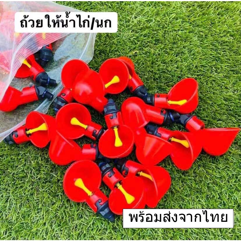 ส่งเร็ว ถ้วยให้น้ำอัตโนมัติ  ถ้วยให้น้ำ นกกระทา ที่ให้น้ำไก่ ไก่ชน นกกระทา อุปกรณ์เลี้ยงไก่ ไก่จิกสีเหลืองน้ำออก