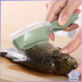 ที่ขูดถอดเกล็ดปลา อุปกรณ์ครัว มีสามสี มีกล่องเก็บเกล็ดปลาไม่ให้เลอะ Fish scale scraper