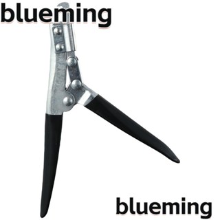 Blueming2 คีมเหล็กชุบสังกะสี A2 สําหรับซ่อมแซมหม้อน้ํา 1 ชิ้น|ซ่อม