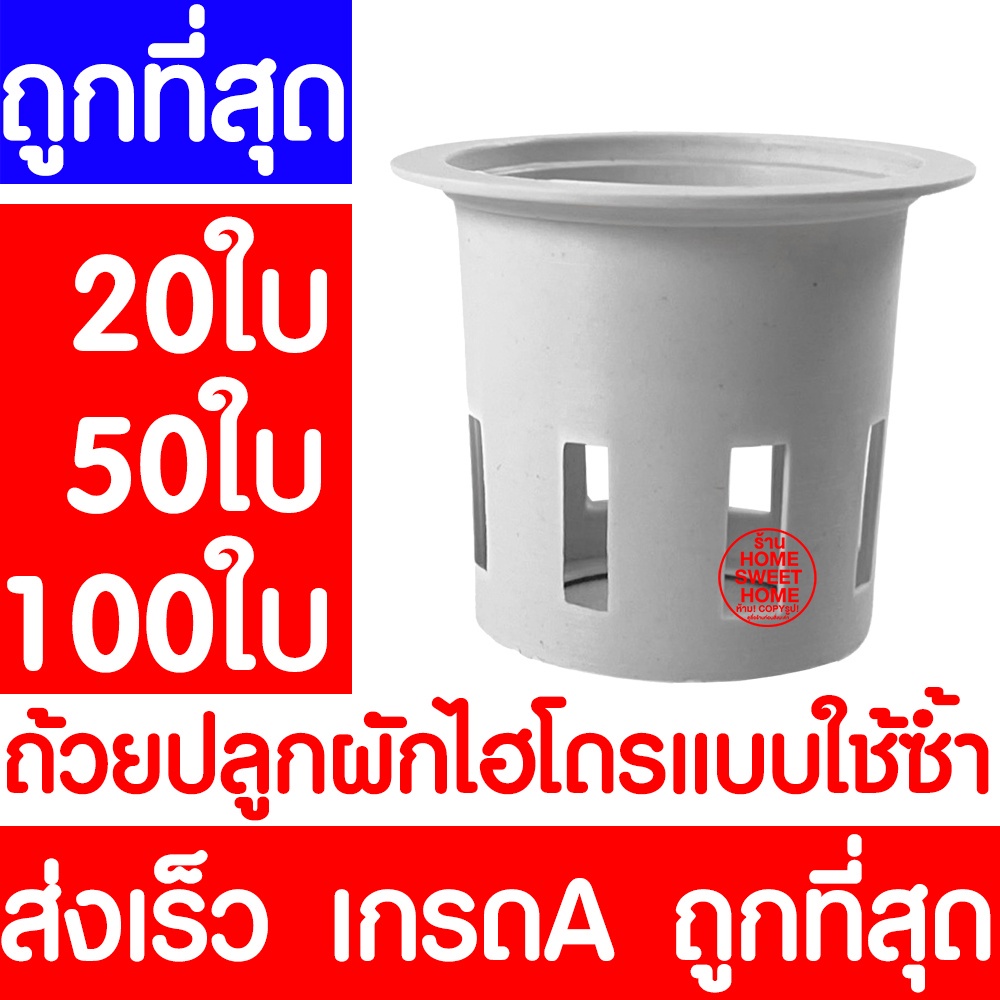 *โค้ดส่งฟรี* ถ้วยปลูกผัก 20/50/100ใบ ถ้วยขาวปลูกผัก ผไฮโดรโปนิกส์ ไฮโดร สลัด salad hydroponic hydro แบบใช้ซ้ำ หนา เหนียว