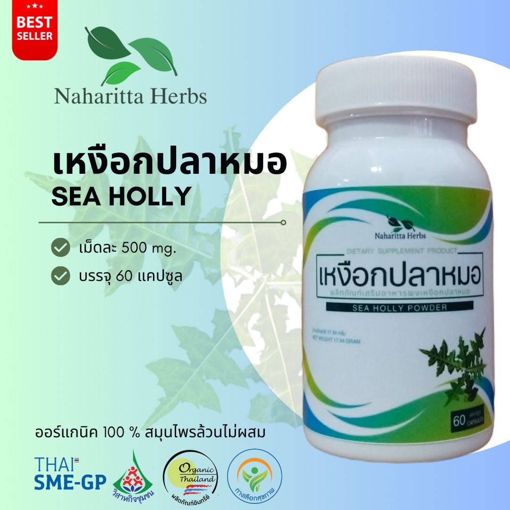 เหงือกปลาหมอ Sea holly 100% 60cap.