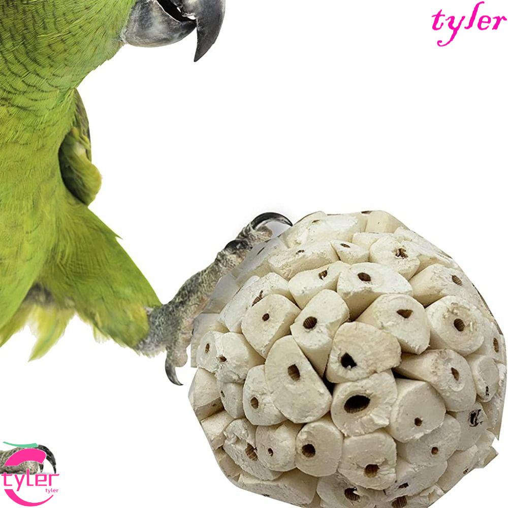 Tyler ของเล่นไม้เคี้ยว สําหรับนกแก้ว