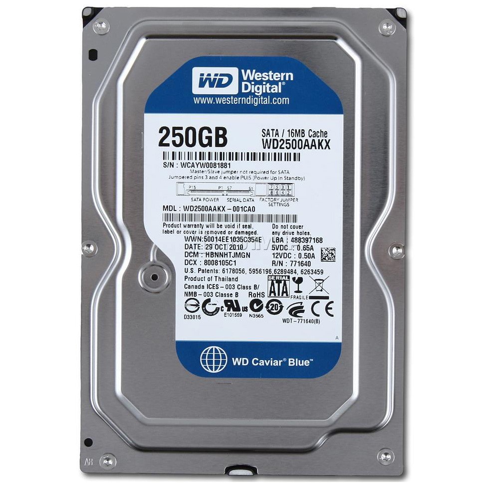 WD HDD PC 250GB - 500GB BLUE / GREEN (ใหม่)