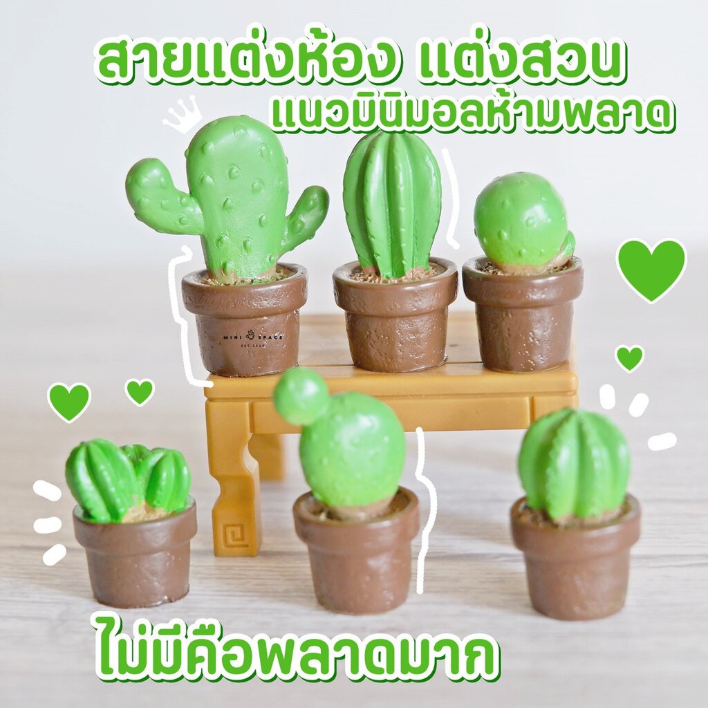 MS4524 กระบองเพชรจิ๋ว 6 แบบ ตุ๊กตาจิ๋ว ขนาดเล็ก สำหรับตกแต่งสวน แต่งบ้าน แต่งกระถาง