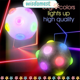 WISDOMEST ลูกบอลกระพริบเรืองแสงในที่มืด พร้อมไฟ LED หลากสีสัน สําหรับสุนัข