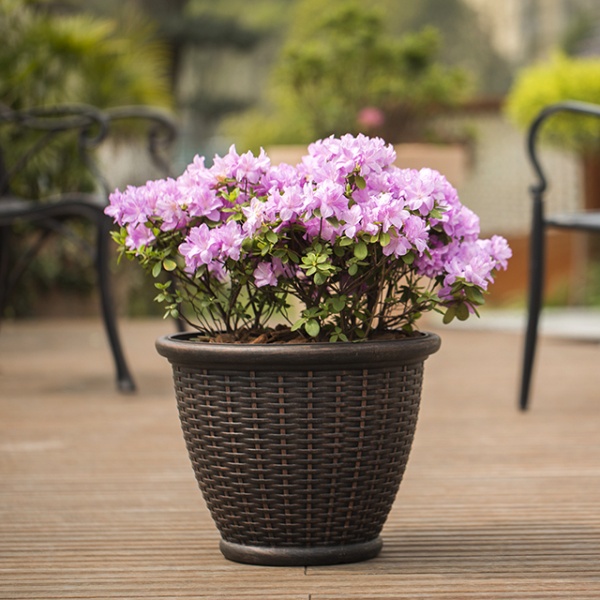 GlobalHouse Tree’O กระถางต้นไม้ ขนาด 41x23x32ซม รุ่น TB001-16 สินค้าของแท้คุณภาพดี