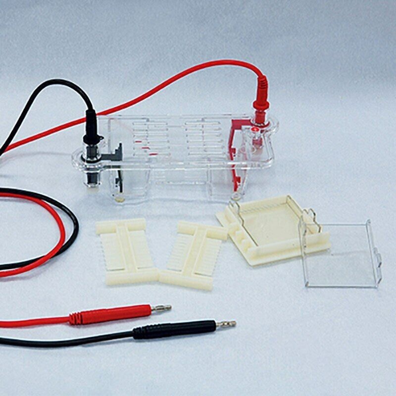 Agarose level electrophoresis instrument DNA nucleic acid instru. DYCP-31BN