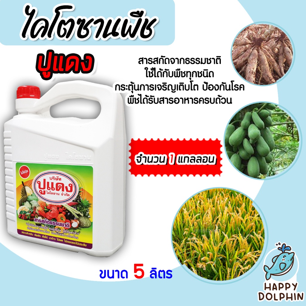 ไคโตซาน สูตรพืช ขนาด 5 ลิตร ตราปูแดง อาหารเสริม เร่งการเจริญเติบโตของพืช เพิ่มผลผลิต ปลอดภัย สารสกัดจากธรรมชาติ แท้