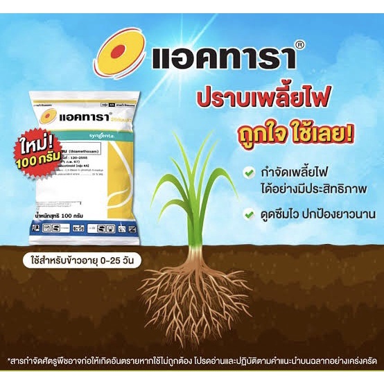 แอคทารา 100 กรัม (ไทอะมีทอกแซม 25% WG) สารป้องกันกำจัดแมลง เพลี้ยไฟ คุมได้นานกว่า 14 วัน (100 กรัม)