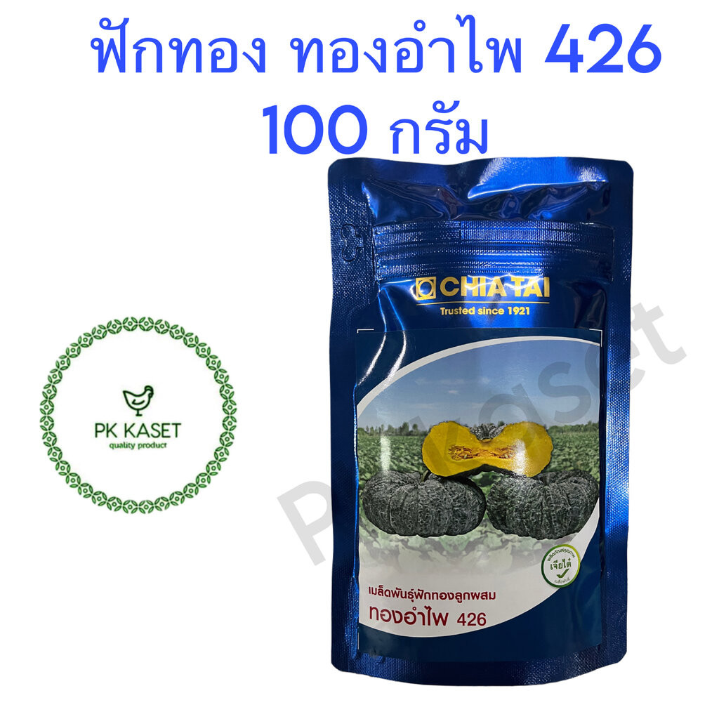เมล็ดฟักทอง ทองอำไพ 426 100g ตราเจียไต๋ CHIA TAI ฟักทองลูกผสม