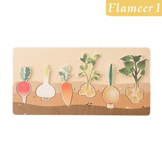 [flameer1] ของเล่นไม้จับคู่ผัก มอนเตสซอรี่ เสริมการเรียนรู้ สําหรับเด็กผู้ชาย และเด็กผู้หญิง อายุ 2~4 ปี