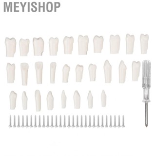 Meyishop Removable  Piece Typodont Model Dental Teaching For