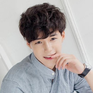 【Handsome Men Short Curly Wig】วิกผมหยิกธรรมชาติ ระบายอากาศ สําหรับผู้ชาย