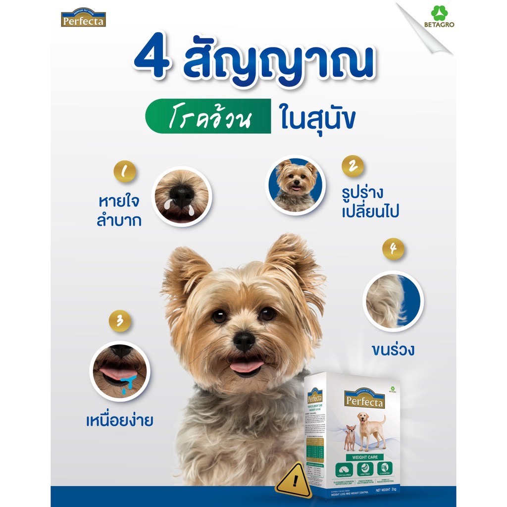 อาหารสุนัข Perfecta (เพอเฟคต้า) สูตรพิเศษ มี 3สูตร 1. Renal Care 2kg 2. Weight Care 2kg 3. Skincare 2kg - รูปที่ 4