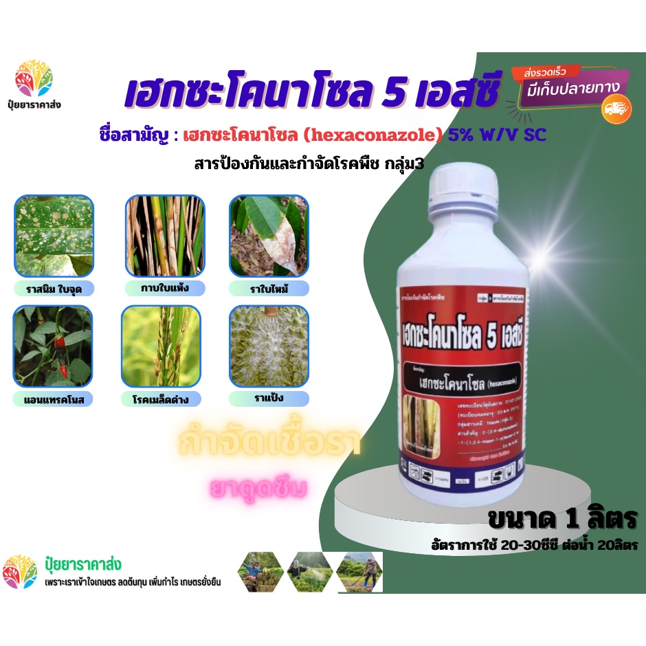 เฮกซะโคนาโซล5เอสซี 1 ลิตร กลุ่ม3 กำจัดเชื้อรา ยาดูดซึม ราสนิม ใบจุด ราใบไหม้ กาบใบแห้ง แอนแทรคโนส ราแป้ง