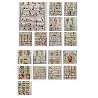 ภาพโปสเตอร์เกี่ยวกับสุขภาพ (แบบเลือกซื้อ) - กายภาพบำบัด รักษ…