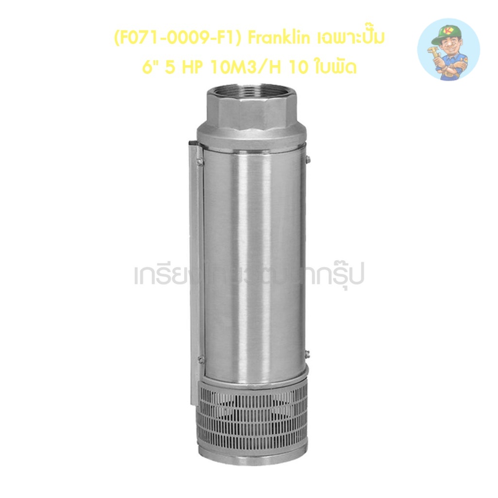 🎆 (F071-0009-F1) Franklin เฉพาะปั๊ม 6" 5 HP 10M3/H 10 ใบพัด