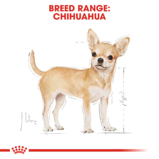 Royal Canin Adult Chihuahua อาหารเม็ด สุนัขโต พันธุ์ชิวาว่า ขนาด 3 Kg