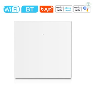 Homekit Water Heater Switch Water Boiler WiFi BLE Dual Mode Light Switch Timer Panel Switch High Power Compatible with Alexa and Google Home for Voice Control