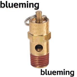 Blueming2 วาล์วคอมเพรสเซอร์แอร์ทองเหลือง 125PSI ไม่เป็นสนิม 1/4 นิ้ว สีทอง