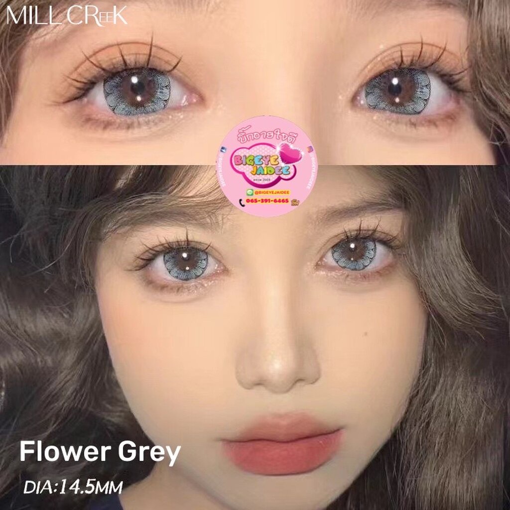 ilens Selena Eff.19 Gray ใหญ่