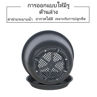 กระถางพลาสติกพร้อมจานรอง ปลูกต้นไม้-ดอกไม้ ทรงโมเดิร์น มีหลายสีให้เลือก บ้านและสวน TCยาว