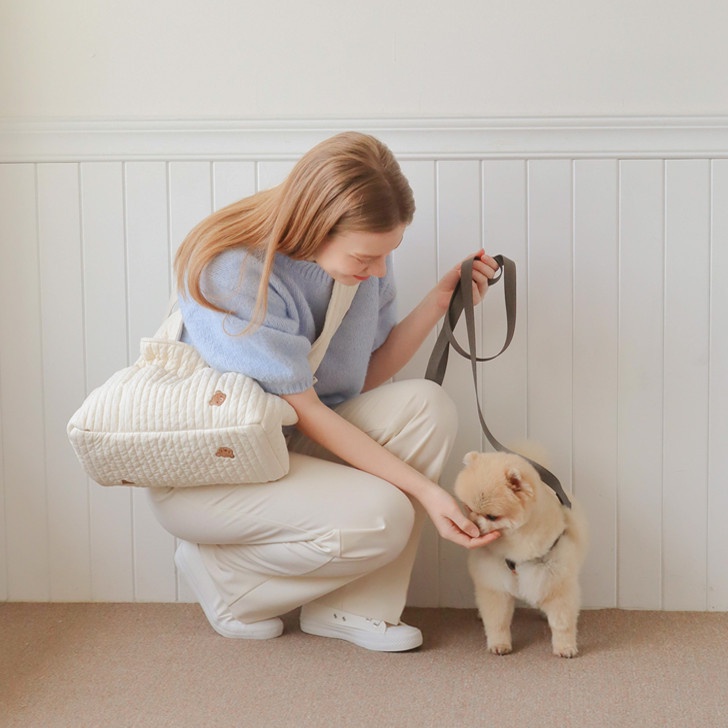 Pet Outing Portable Backpack ins Korean Pet Outing Messenger Shoulder Bag Large Capacity Breathable Dog Cat Portable Bag YX-JJYP