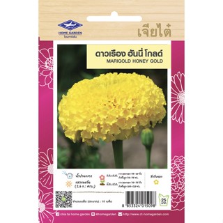 ดาวเรือง ฮันนี่โกลด์ CT/FW-055 เมล็ดพันธุ์ดอกไม้ เจียไต๋ เมล…