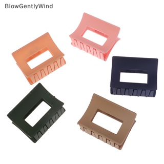 Blowgentlywind ใหม่ กิ๊บติดผมพลาสติก ลายดอกไม้เรขาคณิต ขนาดใหญ่ สําหรับผู้หญิง BGW