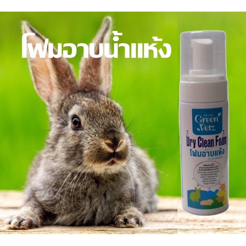 Green Vetz Dry Clean Foam โฟมอาบแห้ง กระต่าย แกสบี้ เฟอเรท แฮมสเตอร์ ชูการ์ 120 มล.
