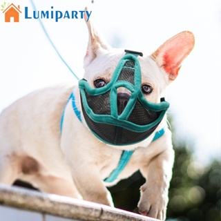 Lumiparty ตะกร้อตาข่าย ระบายอากาศ ป้องกันการกัด ปรับได้ อุปกรณ์เสริม สําหรับสัตว์เลี้ยง