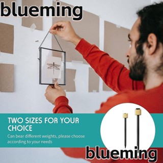 Blueming2 ตะขอแขวนกรอบรูป ทองเหลือง ทนทาน 40 ชิ้น