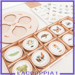 [Lacooppia1] จิ๊กซอว์ถาดวงจร รูปสัตว์ สําหรับปลูกต้นไม้