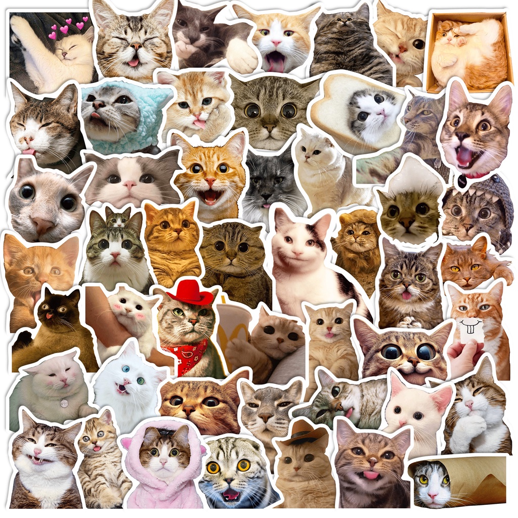 50 cat stickers cute cute pet cat expression pack graffiti stickers