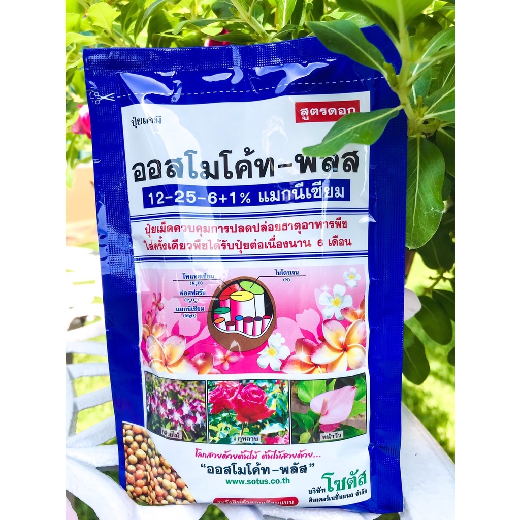 ปุ๋ยละลายช้า ปุ๋ยออสโมโค้ท ขนาด 100g 12-25-6+1% บำรุงต้น เร่งดอก บำรุงต้น เร่งดอก - รูปที่ 3