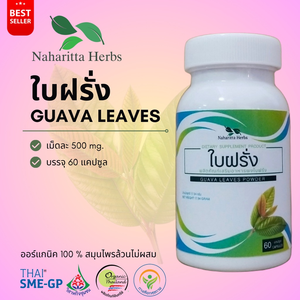 ใบฝรั่ง Guava leaves 100% 60cap. เลือกขนาดได้ในตัวเลือก สินค้าคุณภาพ พร้อมส่ง