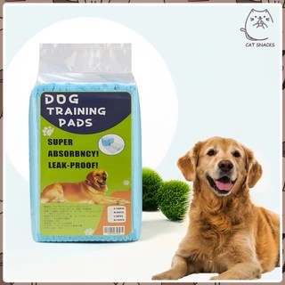 YTL Pet: Pet Pad แผ่นรองฉี่สัตว์เลี้ยง แผ่นรองฉี่สุนัข แมว ซึมซับ ระงับกลิ่นได้ดี