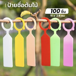 NEW ALITECH ป้ายชื่อต้นไม้ แบบแขวน แผ่นหนา(100ชิ้น) ป้ายชื่อ ป้ายแขวนต้นไม้ กันน้ำ ป้ายชื่อพลาสติก พร้อมส่งจากไทย จัดสวน