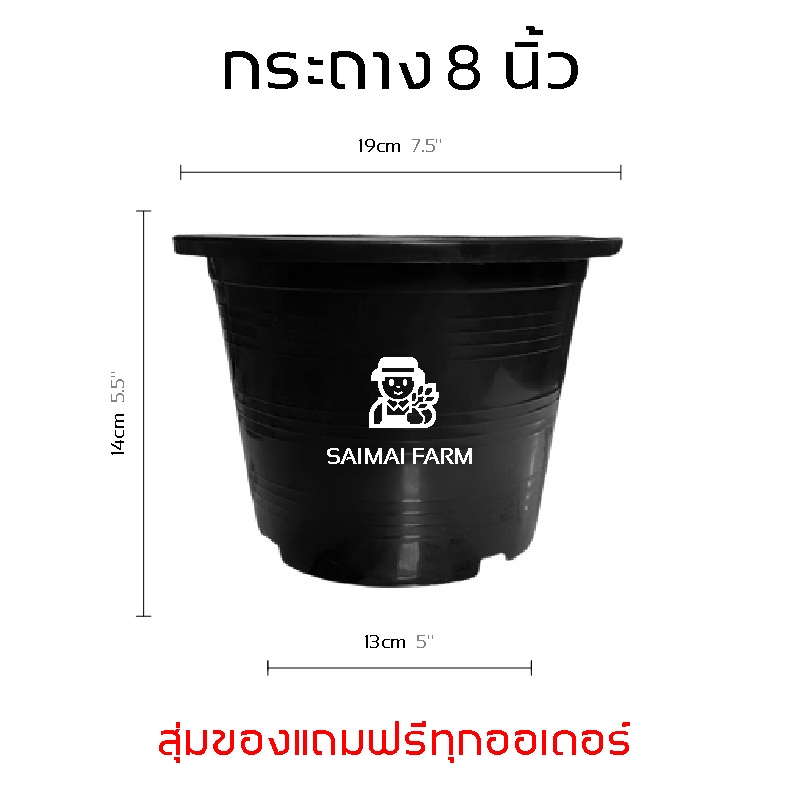 กระถาง พลาสติก สำหรับเพาะต้นไม้  ทรงกลม สีดำ 8 นิ้ว | Plastic pot for planting, round, black, 8 inches...