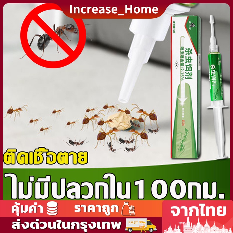 Ant bait กำจัดมด เจลกำจัดมด ไม่อัตรายต่อสัตว์เลียง เหยื่อกำจัดมด เหยื่อมด เหยื่อล่อมด ยาฆ่ามด ตายยกรัง ไม่มากวนใจ
