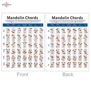 โปสเตอร์ ลายแมนโดลิน คอร์ด สําหรับผู้เริ่มต้นเรียนการสอน